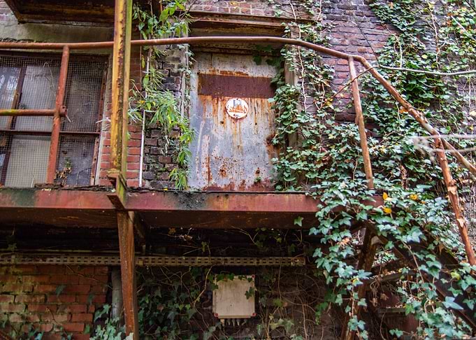 Door and vegetation