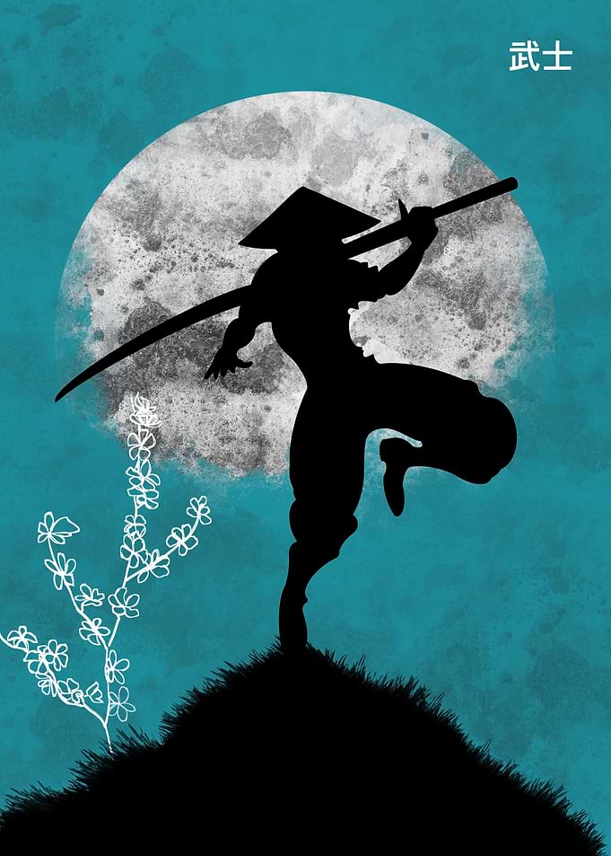 Assassin Ninja Anime