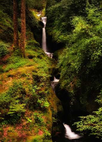 Mysterious creeks