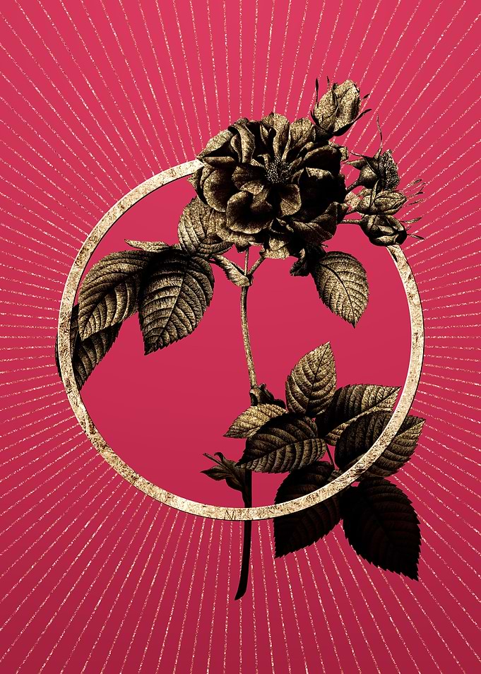 Gold Pink Francfort Rose