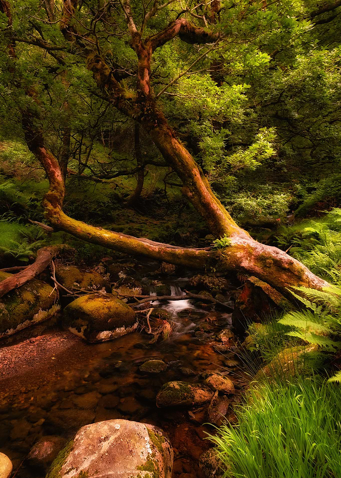 Mysterious creek