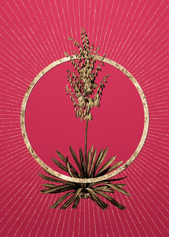 Viva Magenta Adams Needle