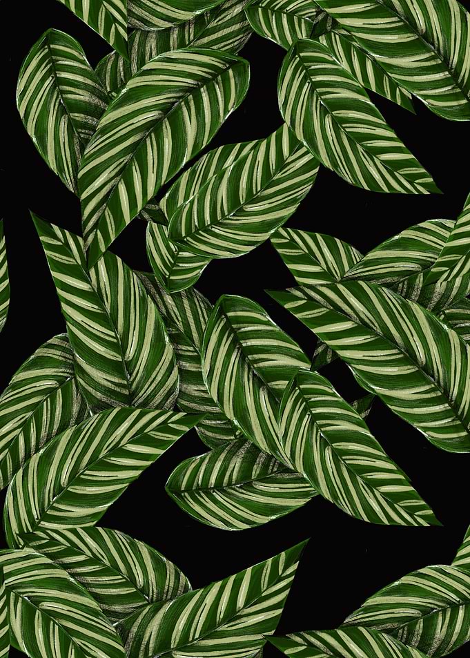 leaf watercolor