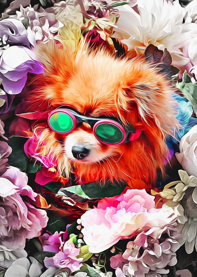 Puppy