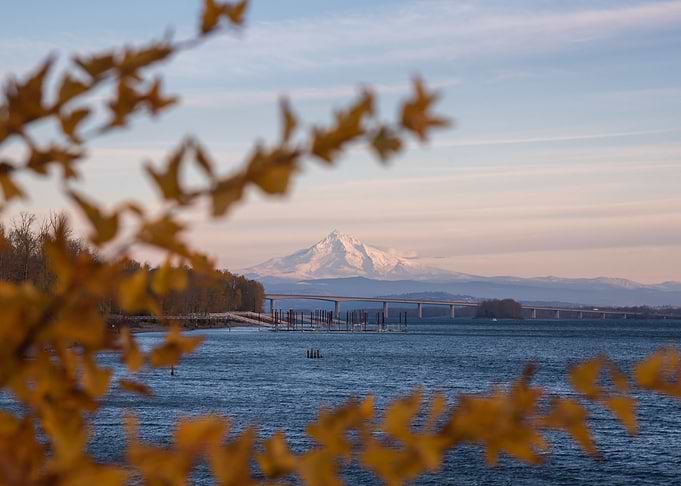 Mt Hood foliage