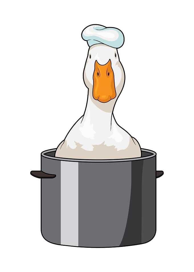 Duck Chef Cooking pot