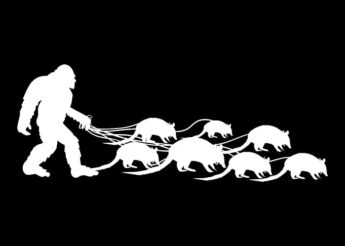 Bigfoot Armadillos