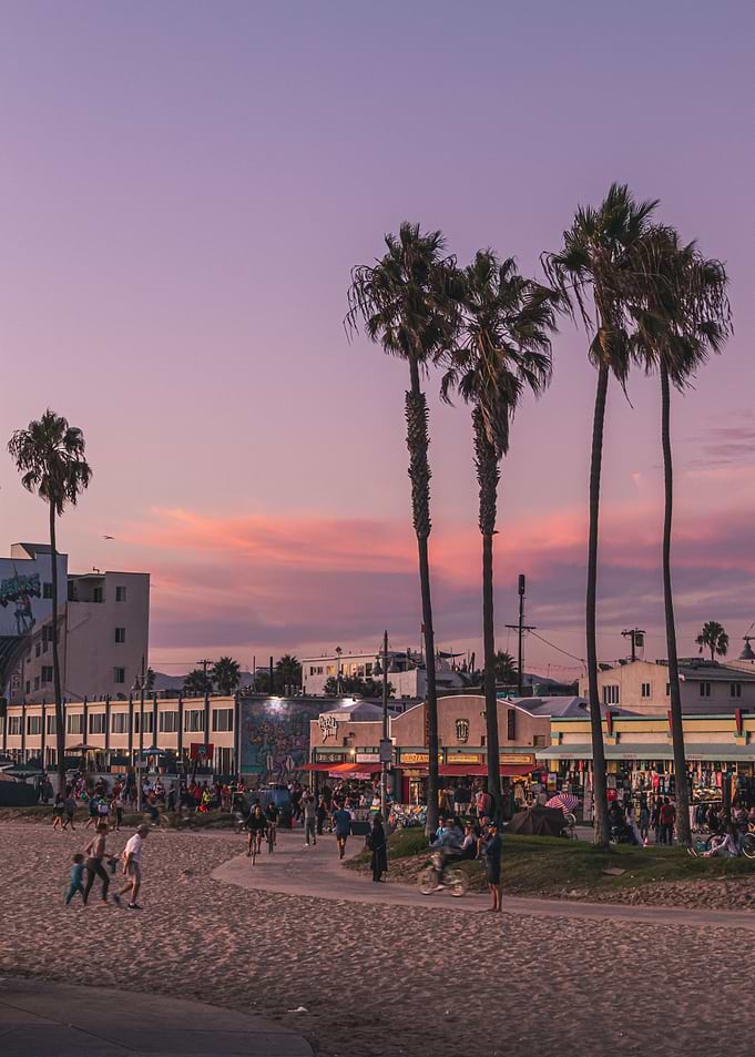 Purple Chill Beach Life