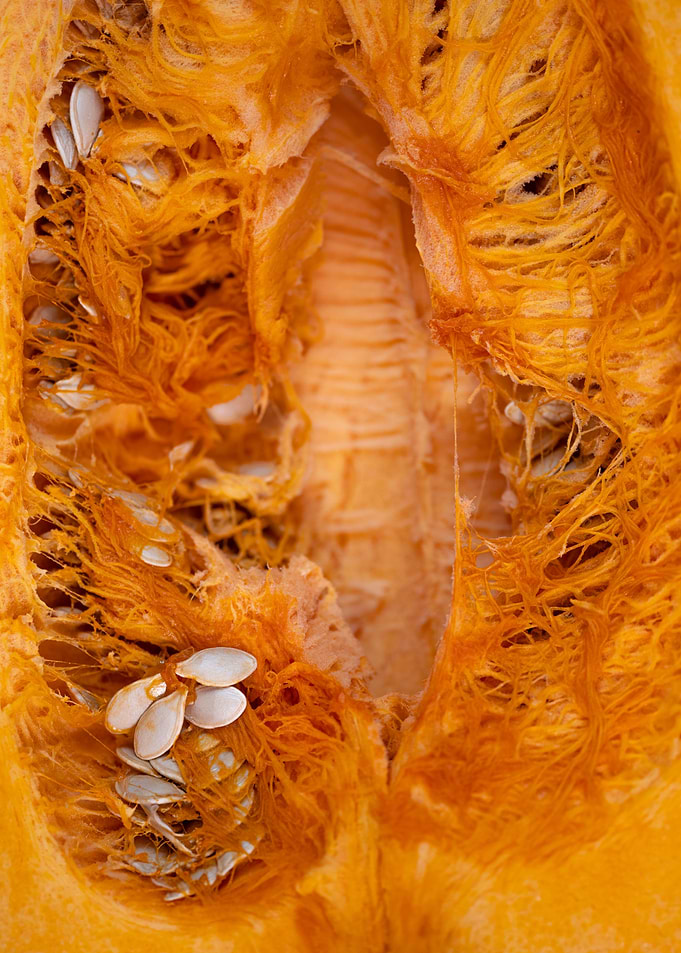 Pumpkin