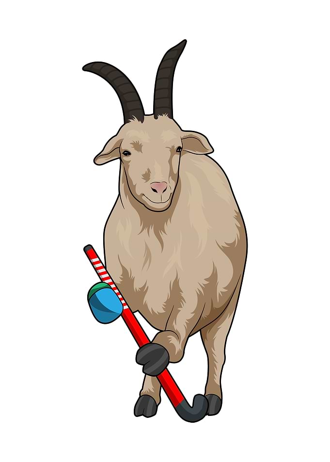 Goat Hockey Hockey stick