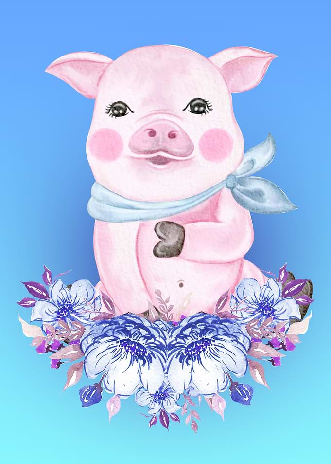 Baby pig piglet