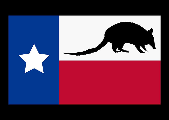 Texas Armadillo Flag