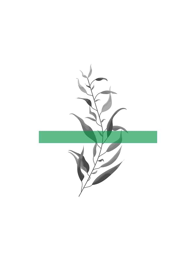 Greyscale botanical poster