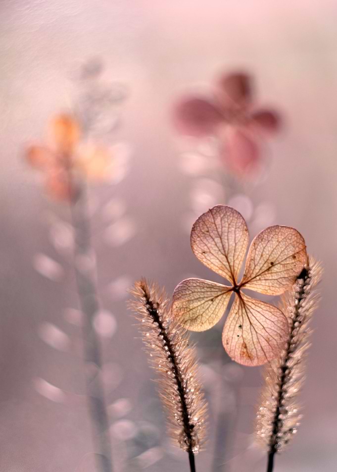 Autumn impression