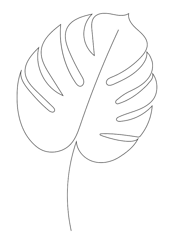 Minimal leaf line drawing