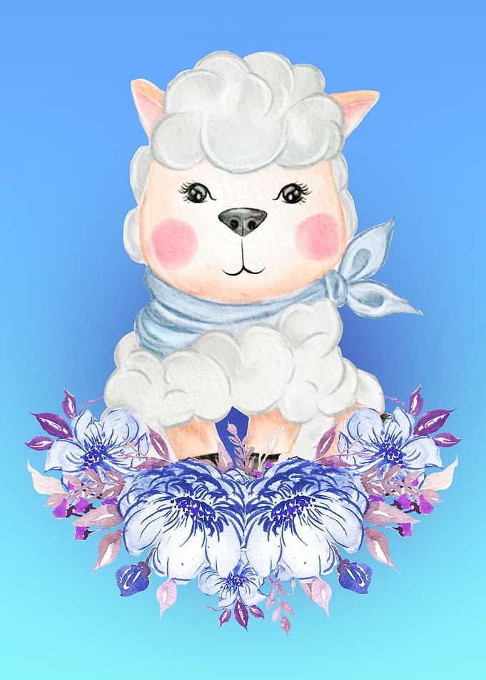 Baby sheep Lamb