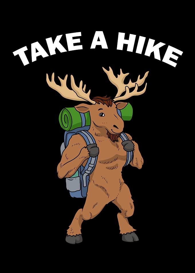 Take A Hike Nature Moose