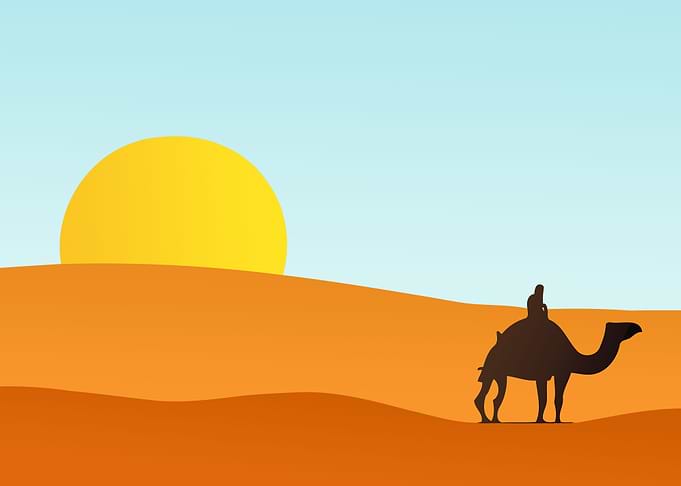 Desert sunset camel sand d