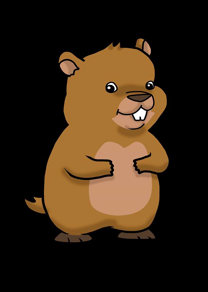 Cute Groundhog Day Gift