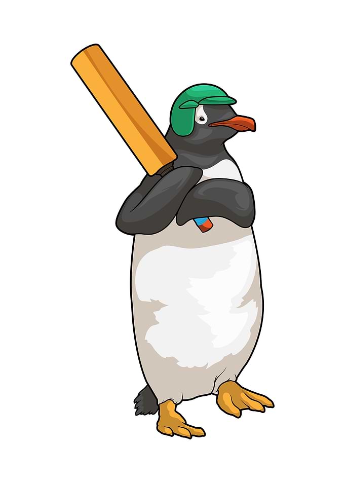 Penguin Cricket Sports