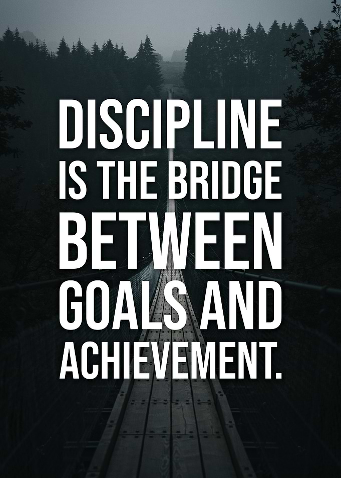 Discipline Is The Bridge