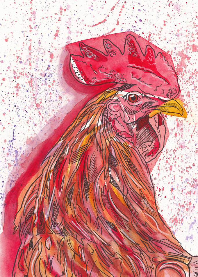 Colin the cockerel