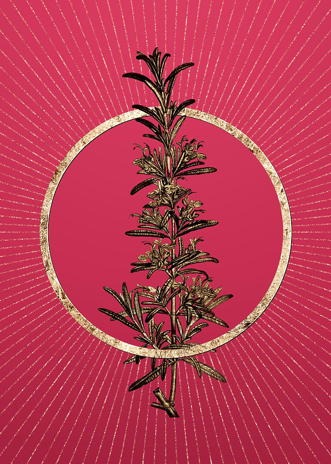 Rosemary on Viva Magenta