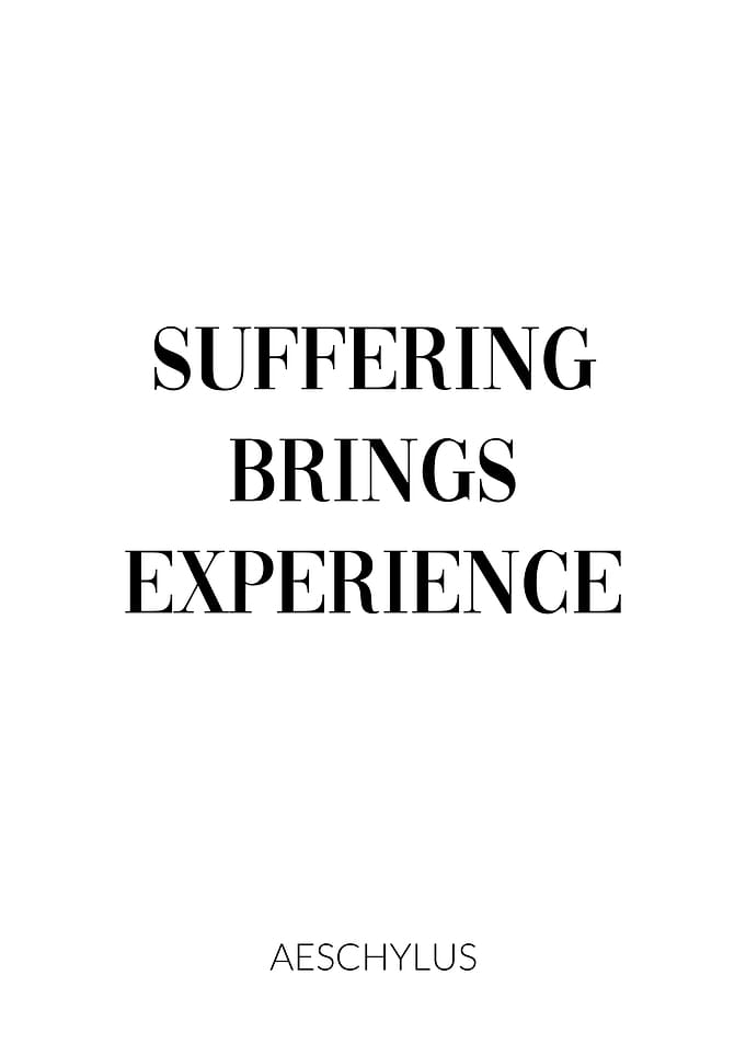 Experience