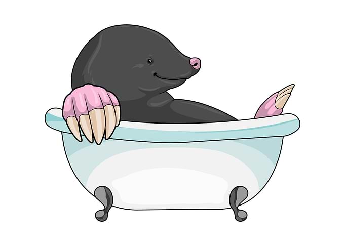Mole Bathtub