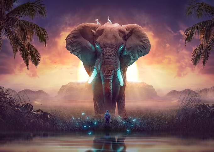 Fantasy Surreal Landscape