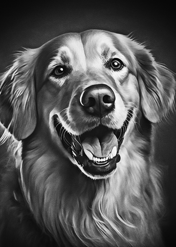 Black Dog