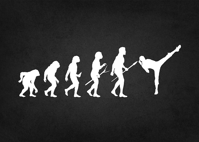 evolution of taekwondo