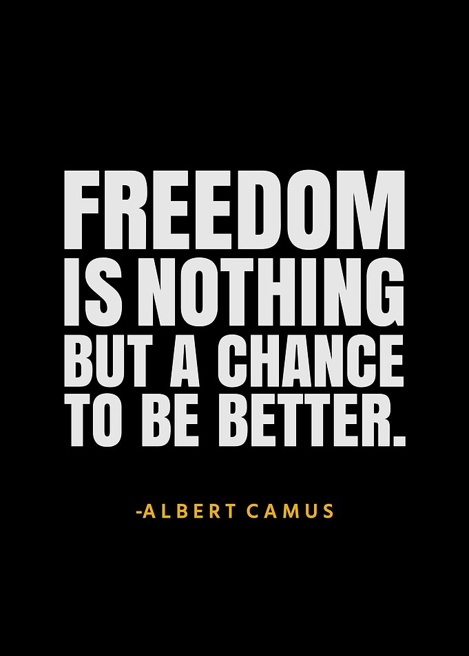 Albert Camus Quotes