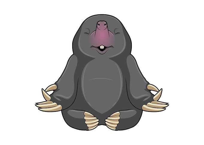 Mole Yoga Meditation