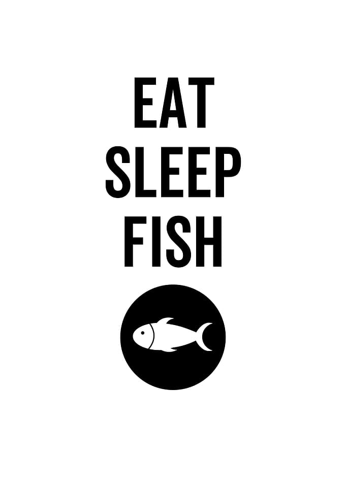 Eat Sleep Fish