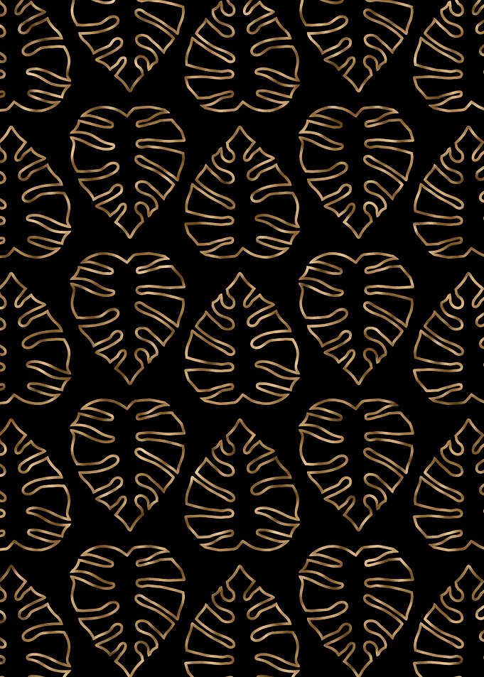 Black Gold Monstera