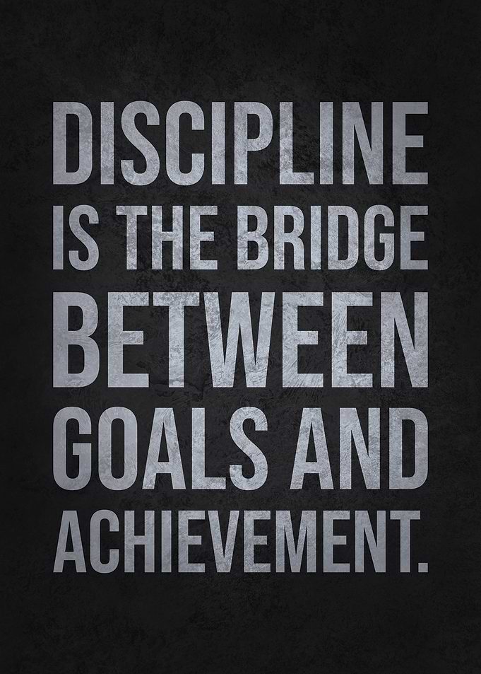Discipline Is the Bridge