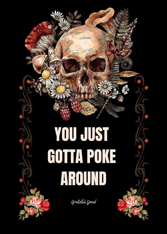 You just Gotta Poke