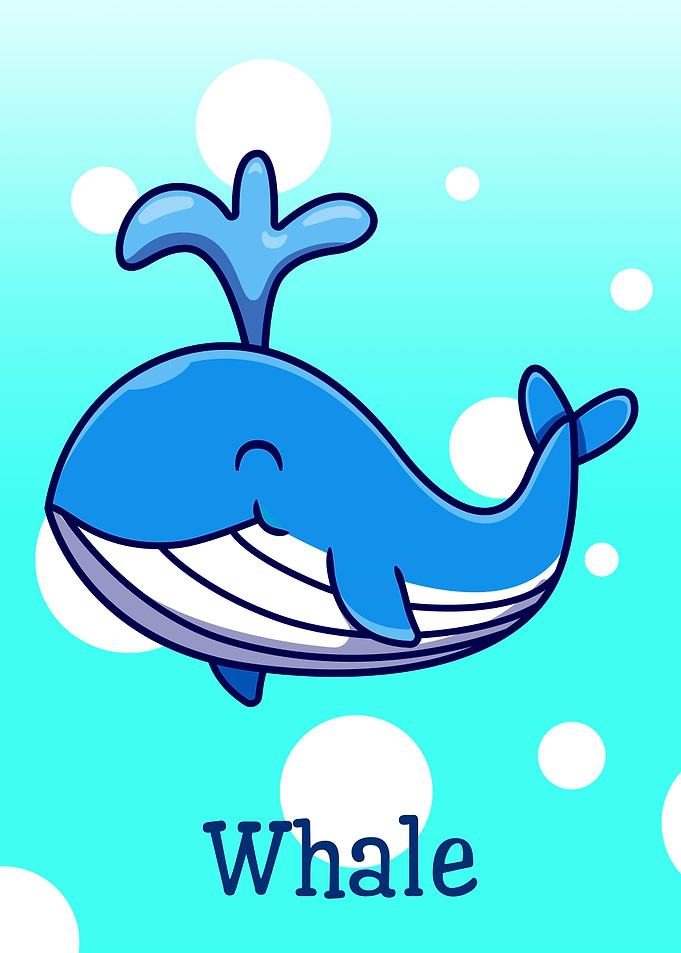 Whale