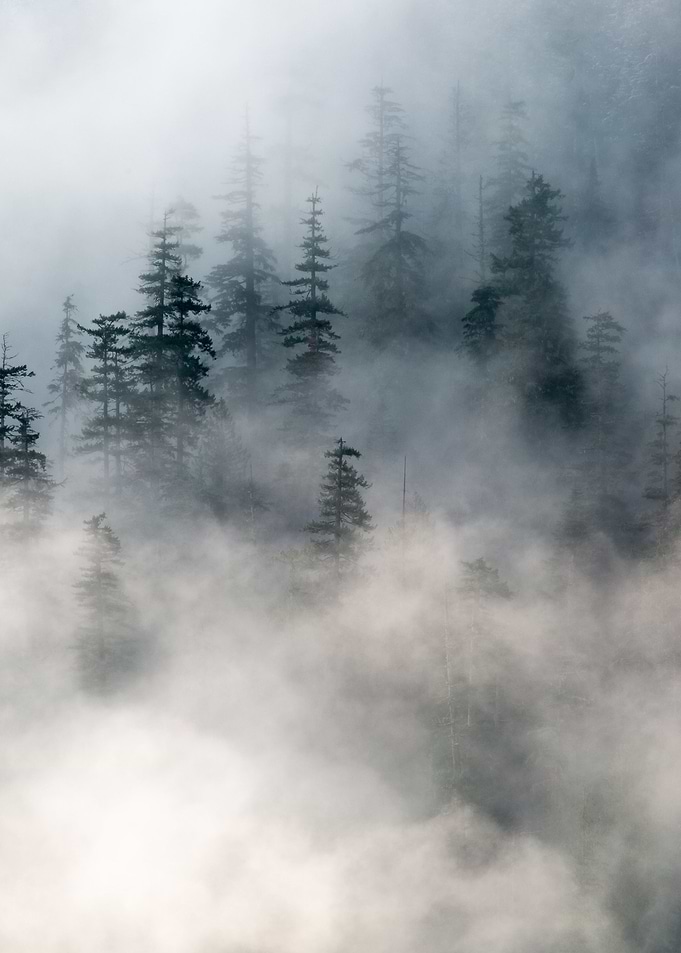 North Bend Washington