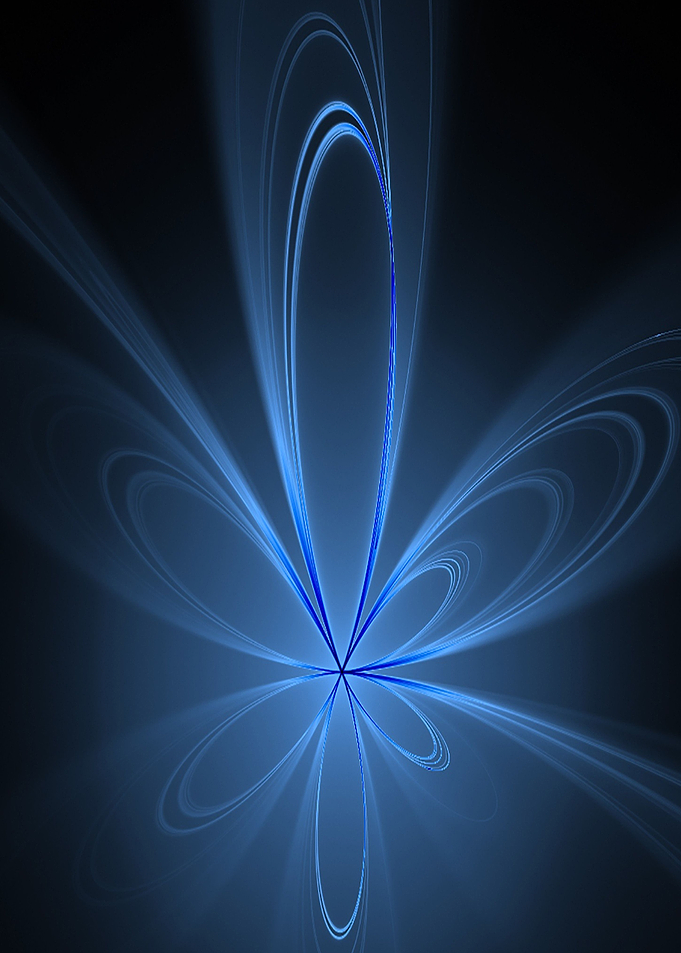 night flower abstract