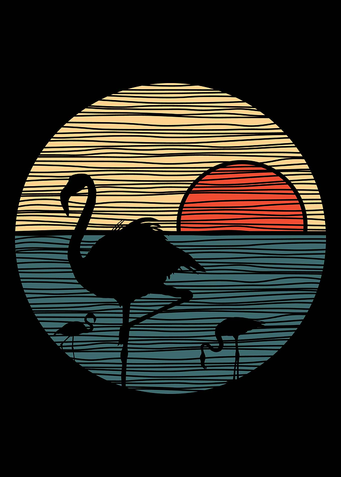 Flamingo adventure