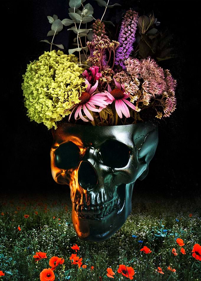 Blossoming Mind