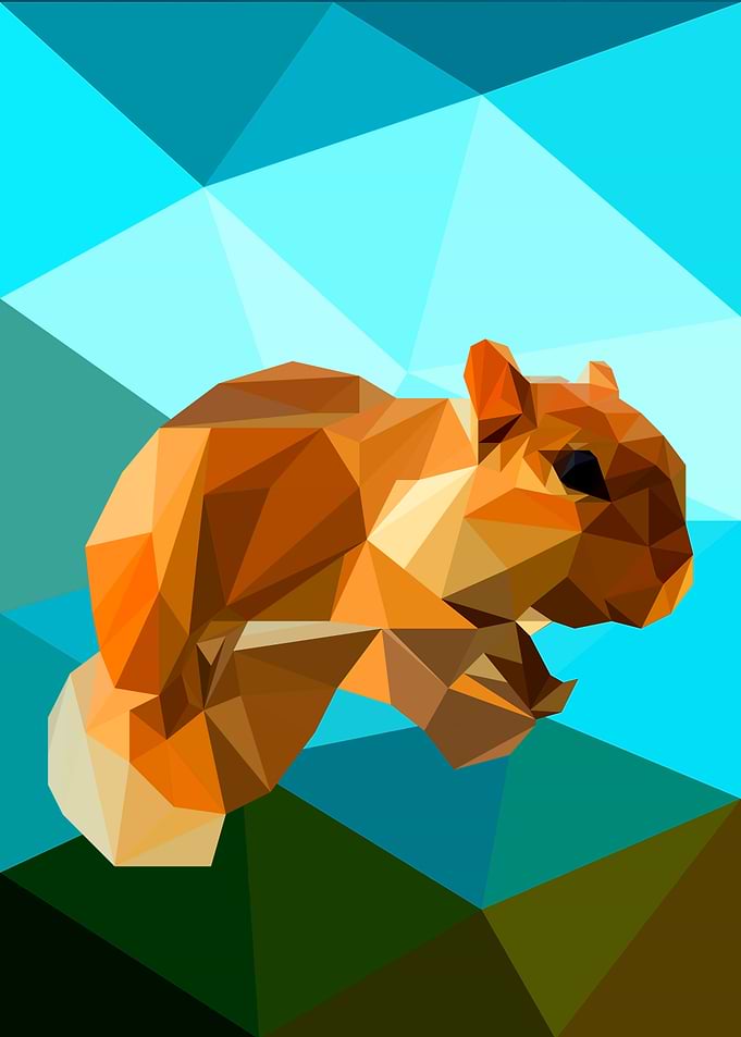 Squirrel