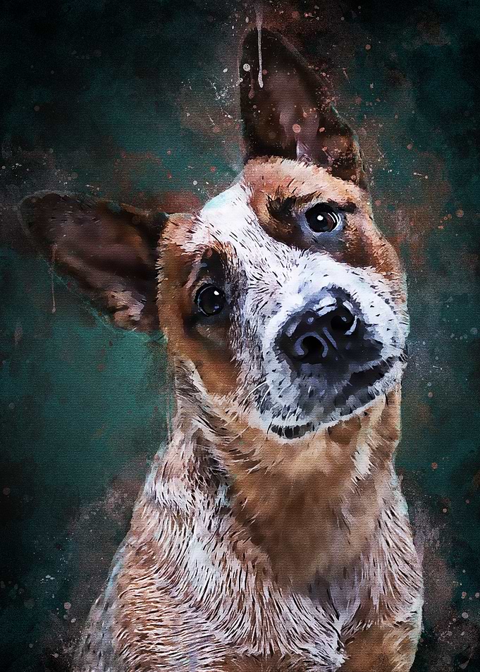 Expression Dog