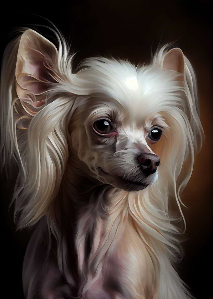 Chinese Crested Oil Paint