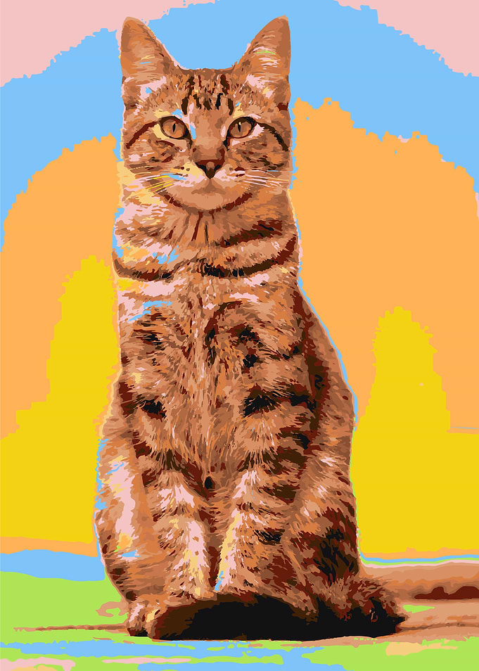 Cut Cat in Color Block