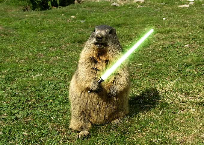 rat saber mouse saber