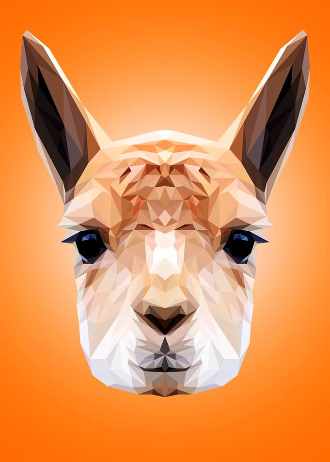 Alpaca