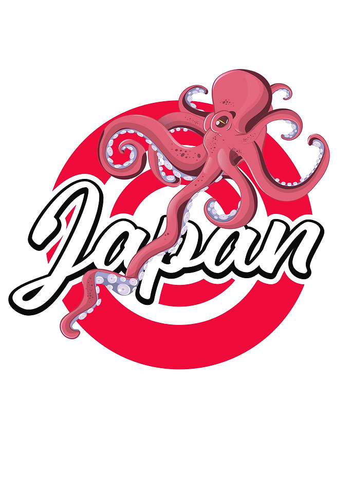 Japan Squid